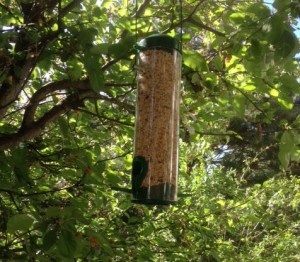 La mangeoire pour oiseaux dans notre jardin Oasis Nature